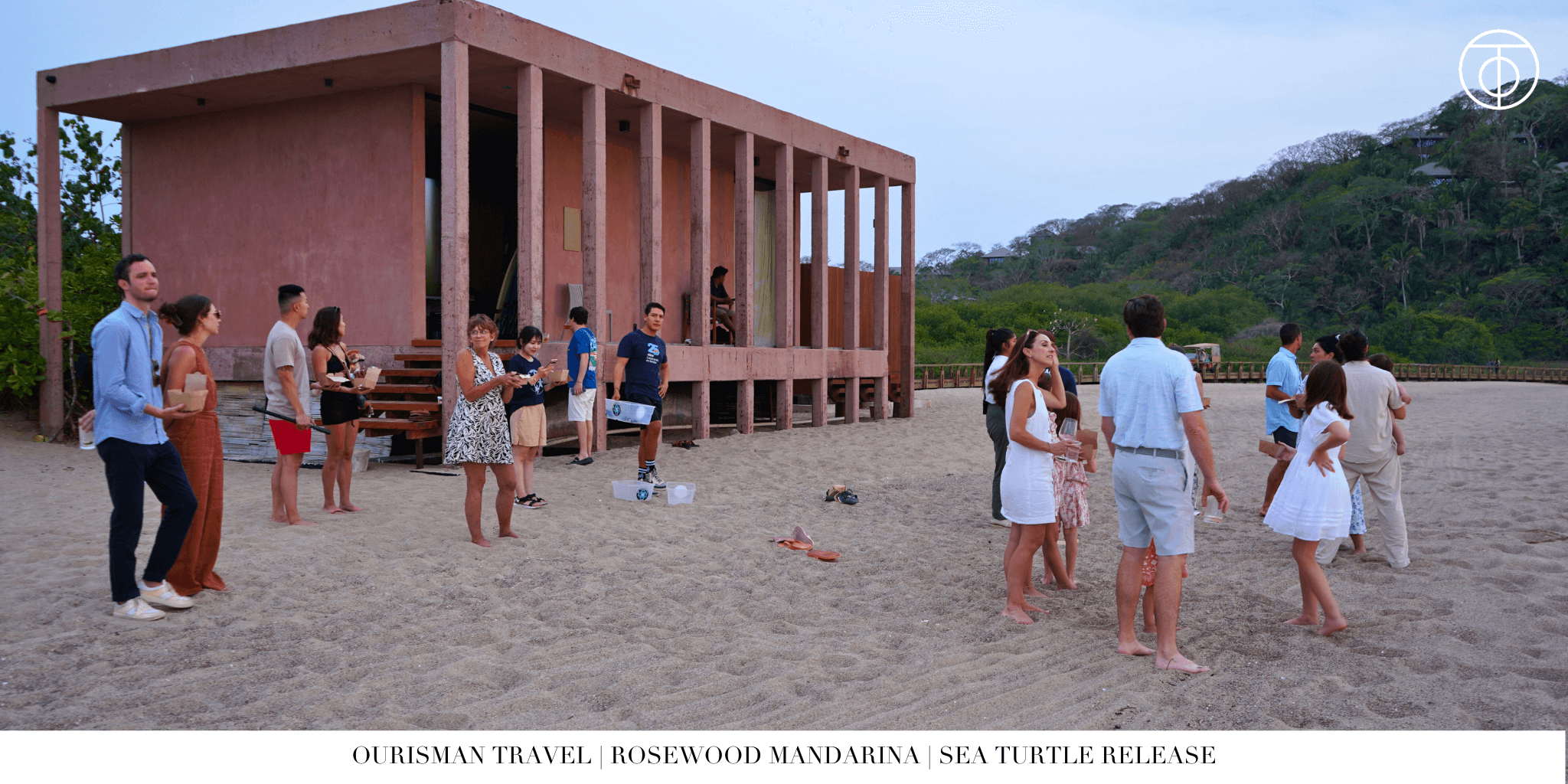 Sea turtle hatching at Rosewood Mandarina