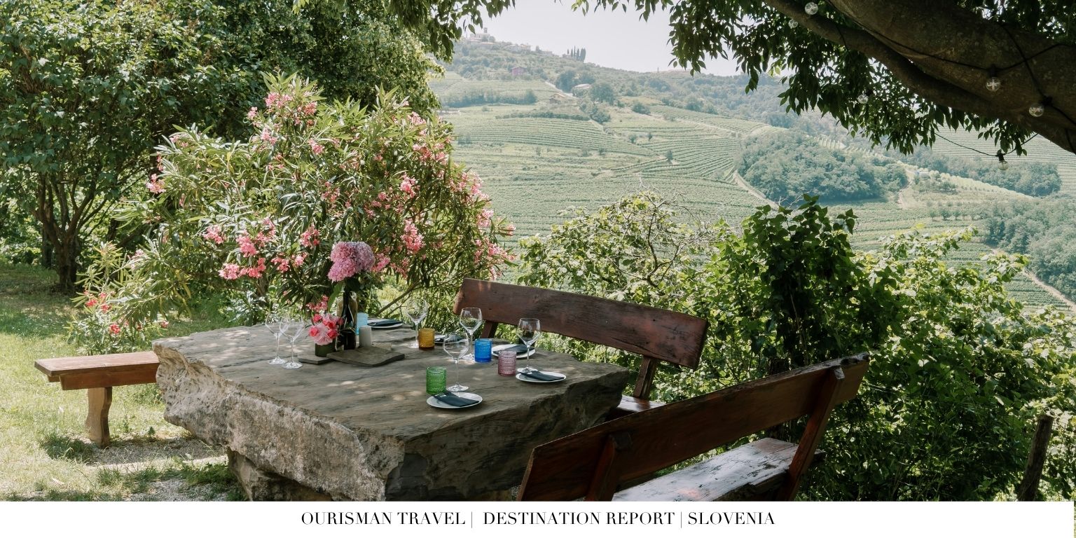 Private wine tasting in Istrian countryside vineyards