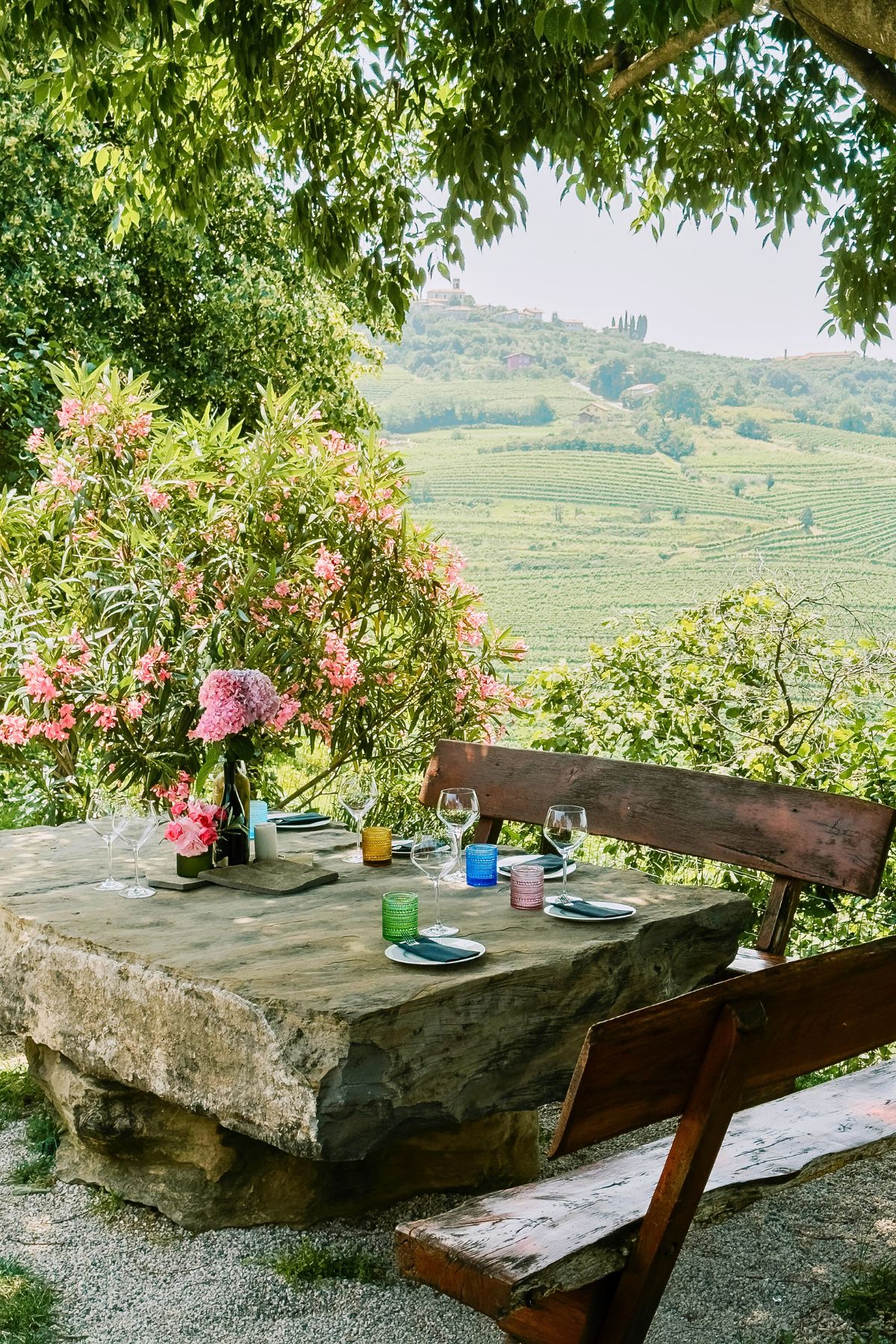 Private wine tasting in Istrian countryside vineyards