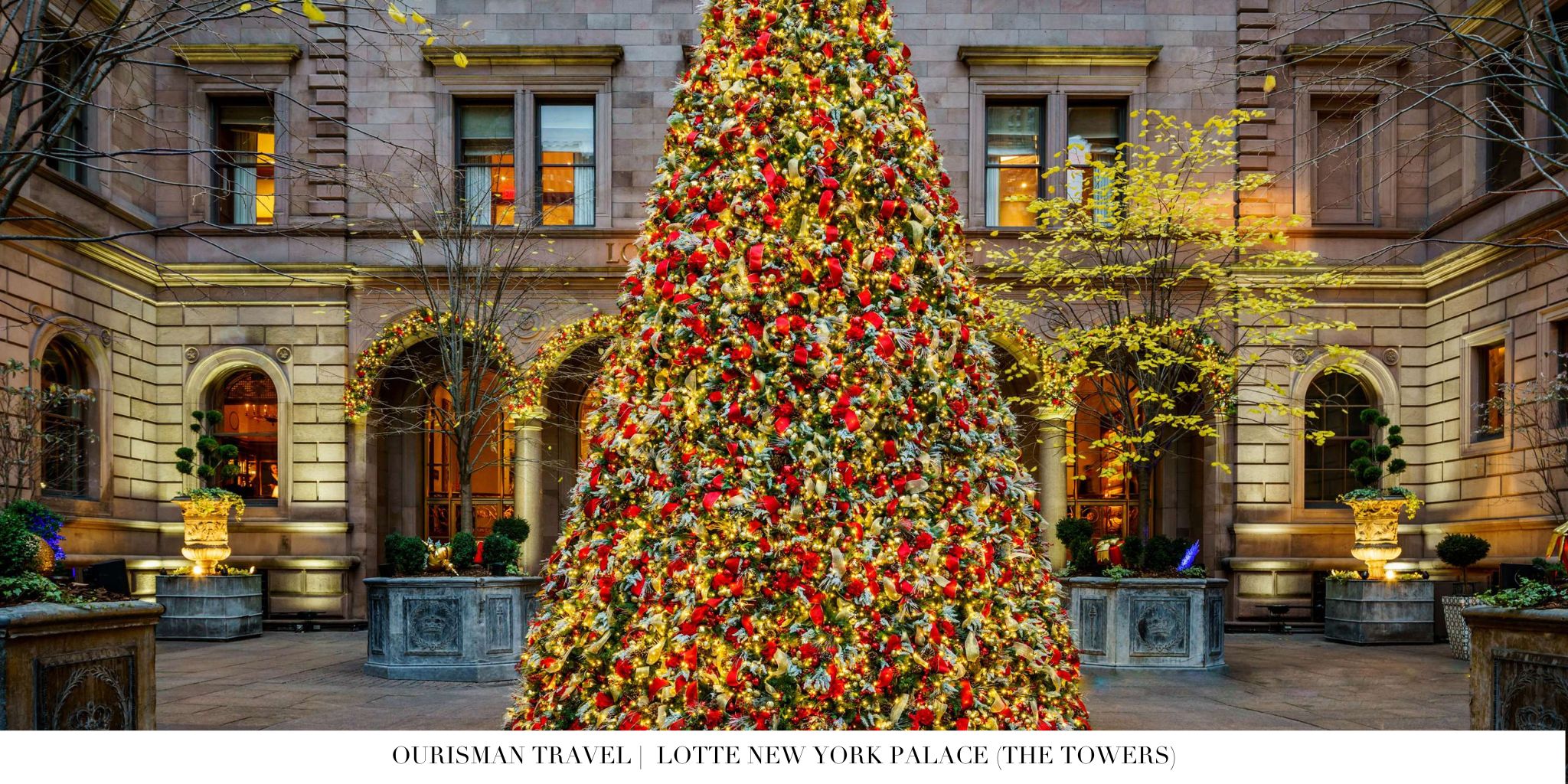 The Towers at Lotte New York Palace Christmas Tree