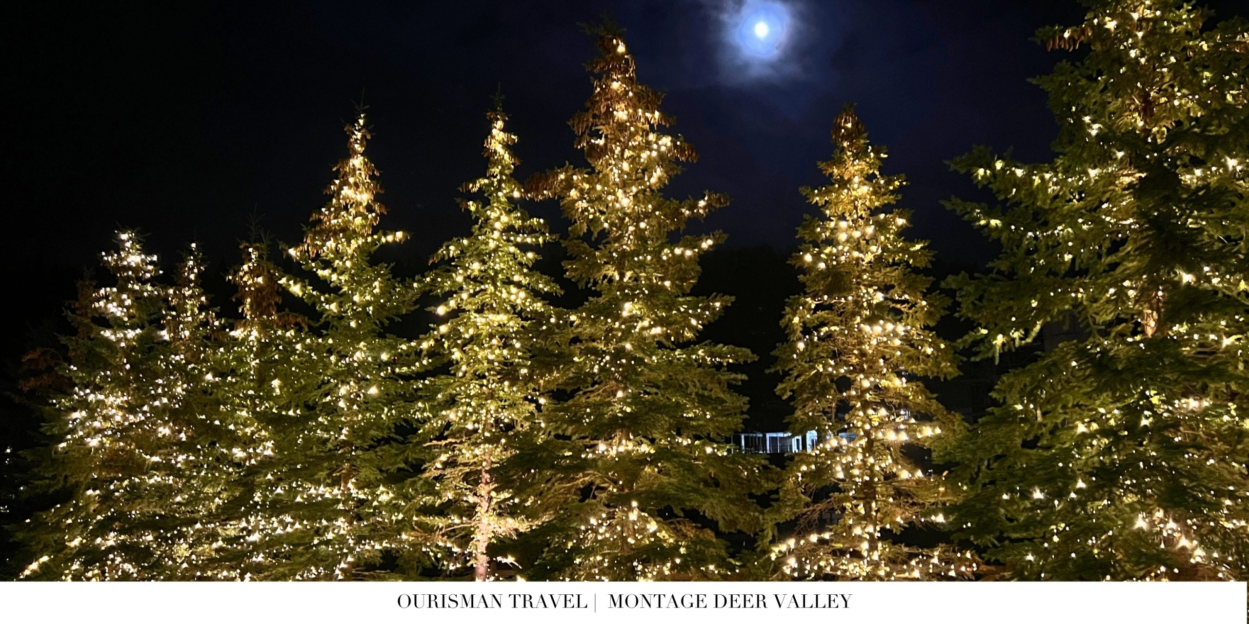 Montage Deer Valley tress