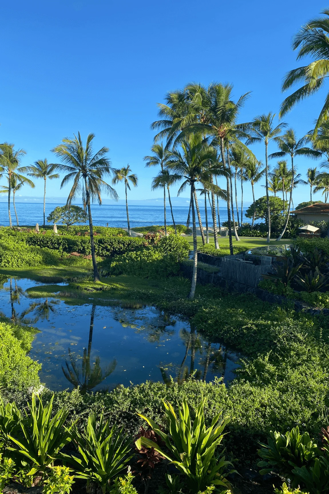 Four Seasons Hualalai