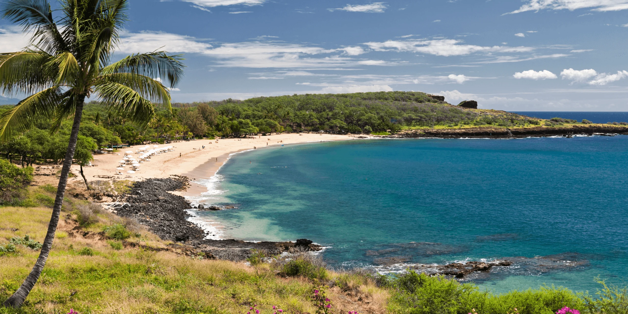 Coastal beach with clear water and green hillside