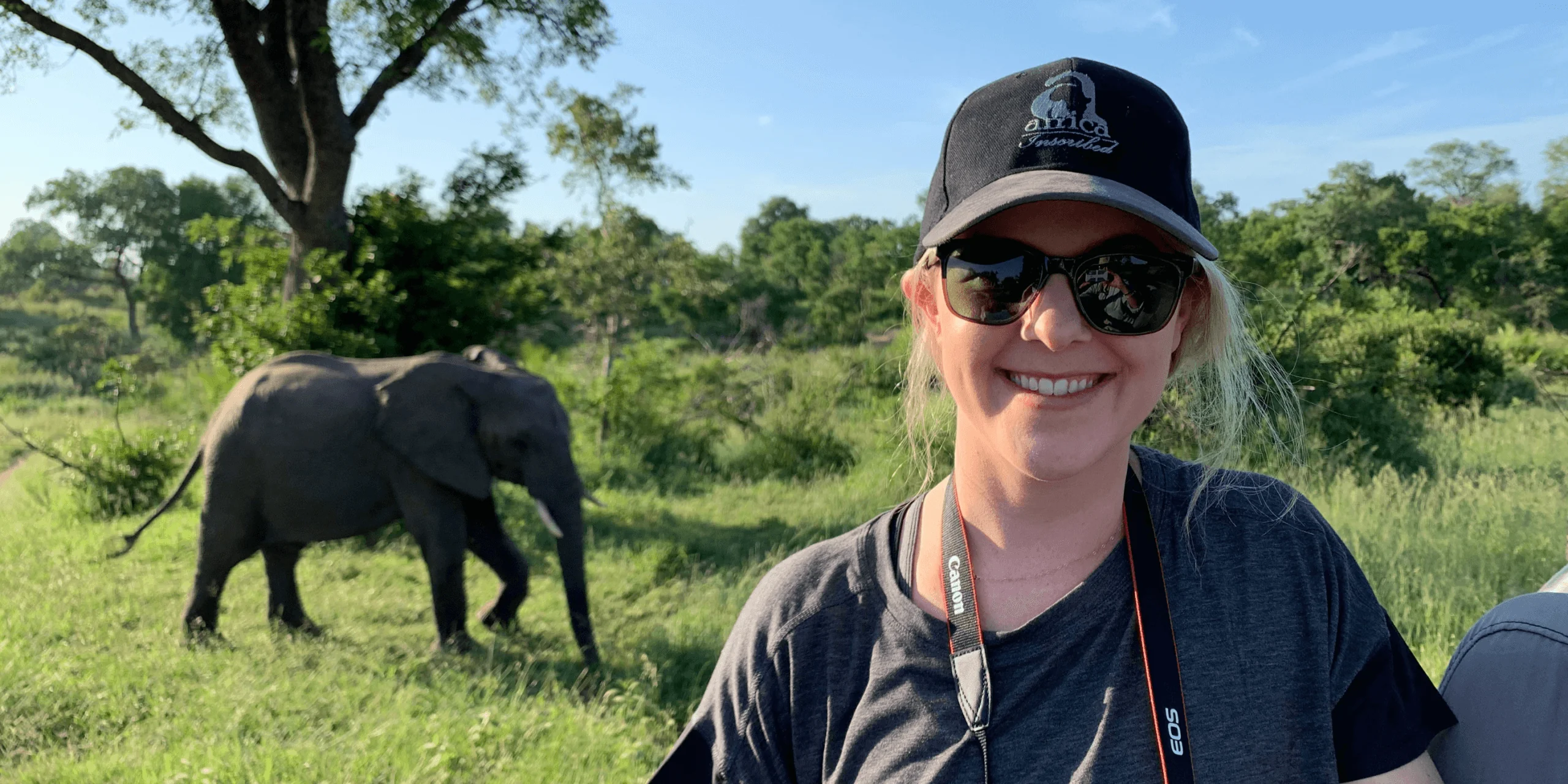 Traveler on safari with elephant in natural landscape