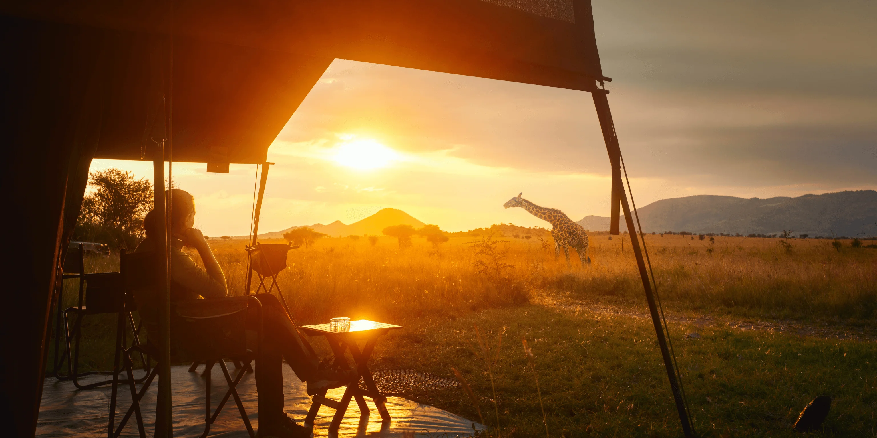Traveler relaxing under a safari tent while watching a giraffe walk across the landscape at sunset