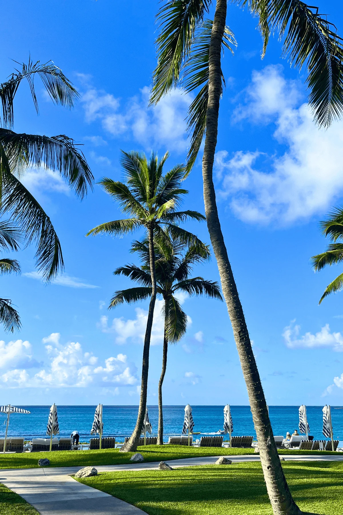 Four Seasons Ocean Club oceanfront lawn