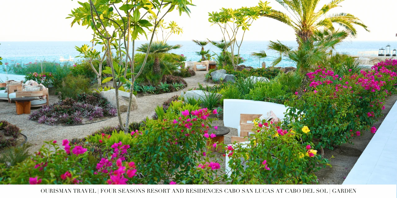 Four Seasons Cabo Del Sol Review