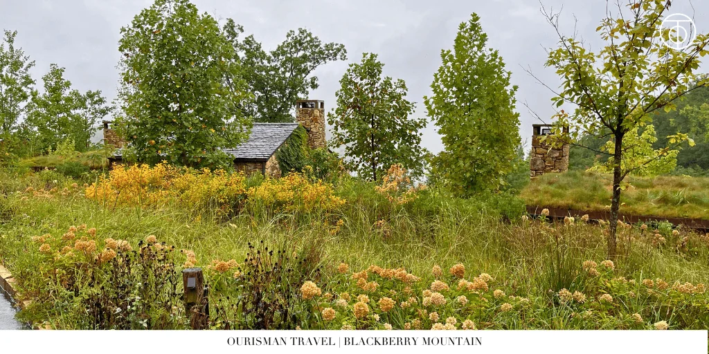 Cabin surrounded by meadow at Blackberry Mountain Tennessee