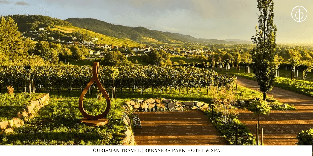 Vineyards near Baden-Baden Germany
