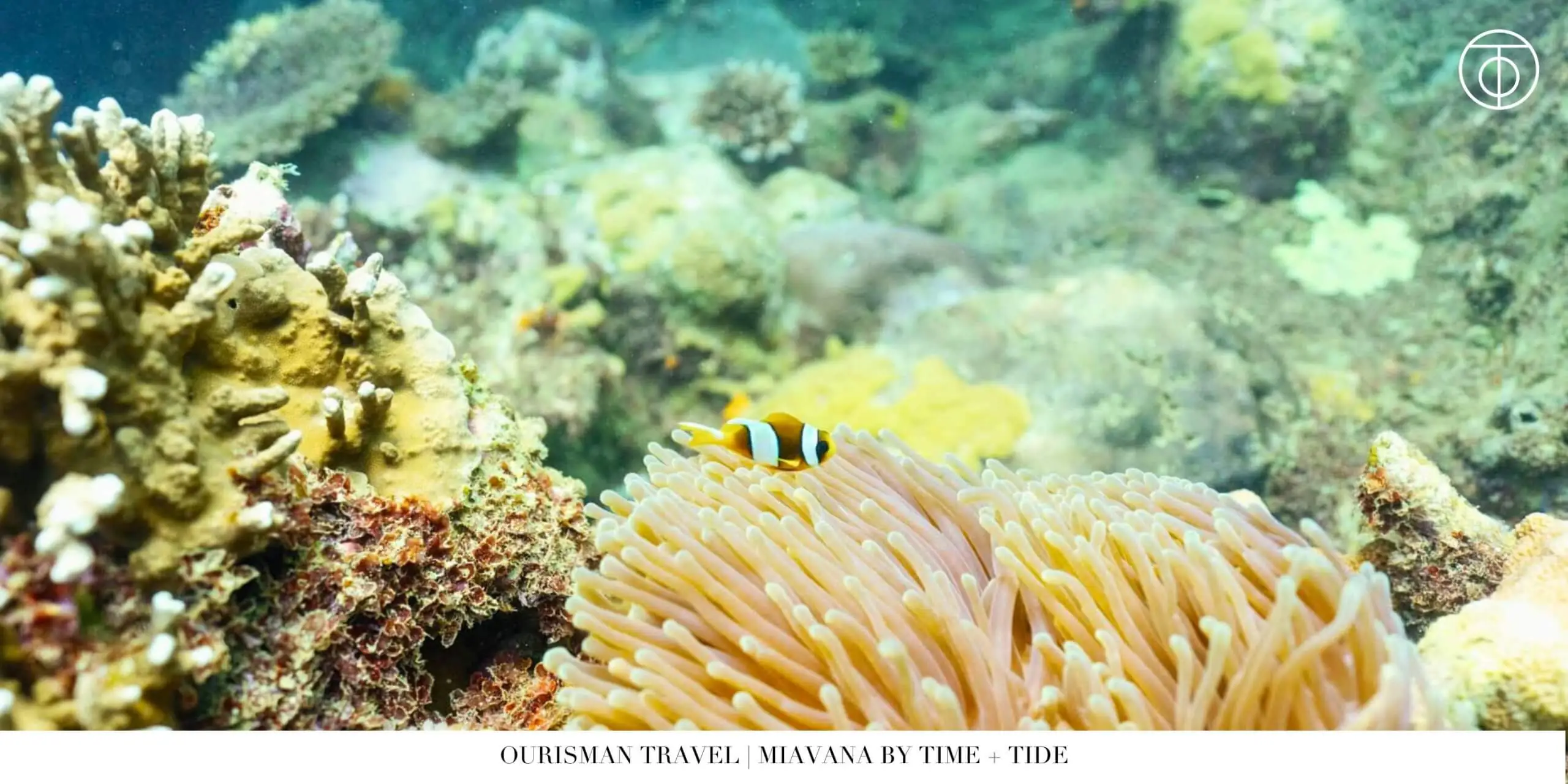 Snorkeling near Miavana private island Madagascar
