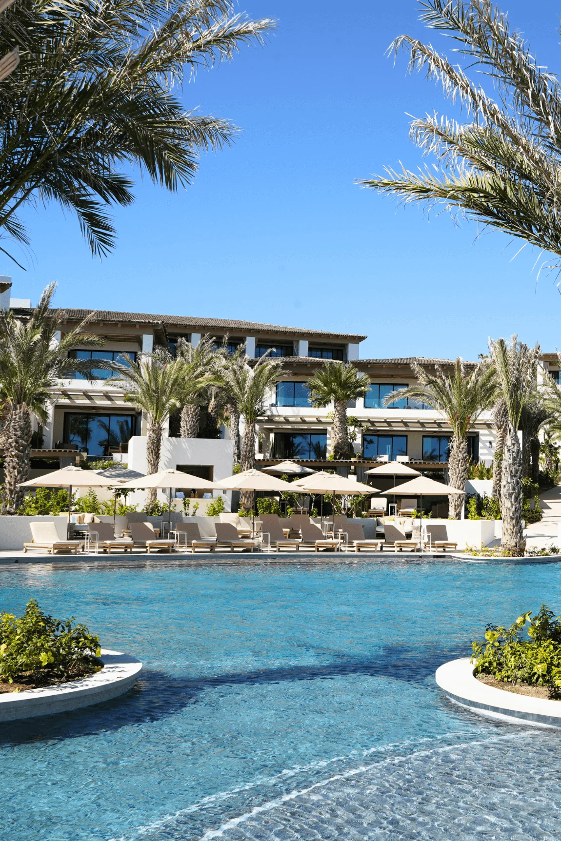 Luxury resort pool at Four Seasons Cabo Del Sol with palm trees and oceanfront views