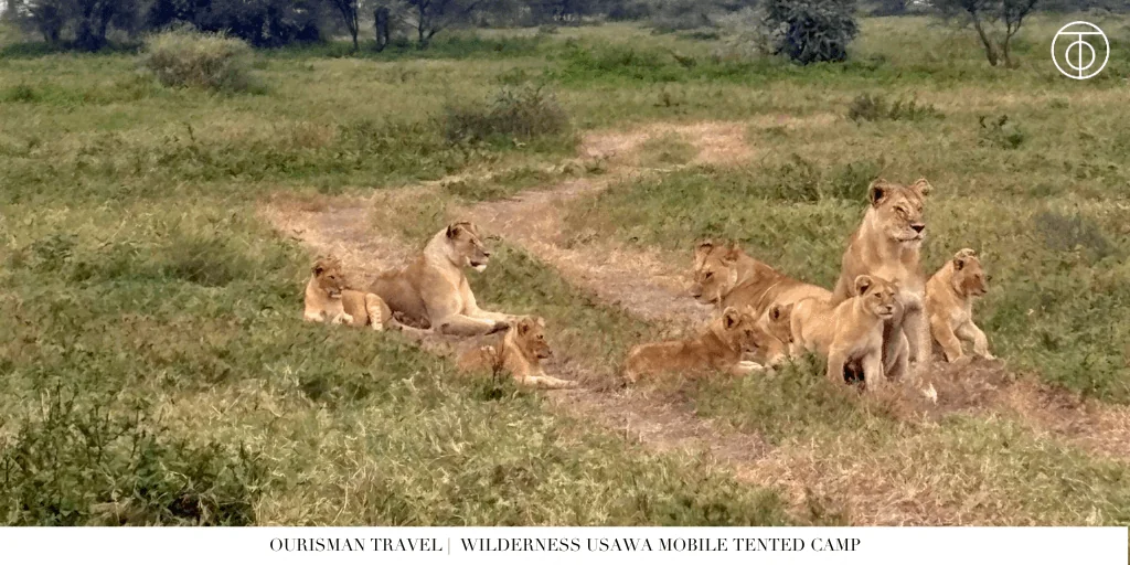 Wilderness Usawa Mobile Tented Camp