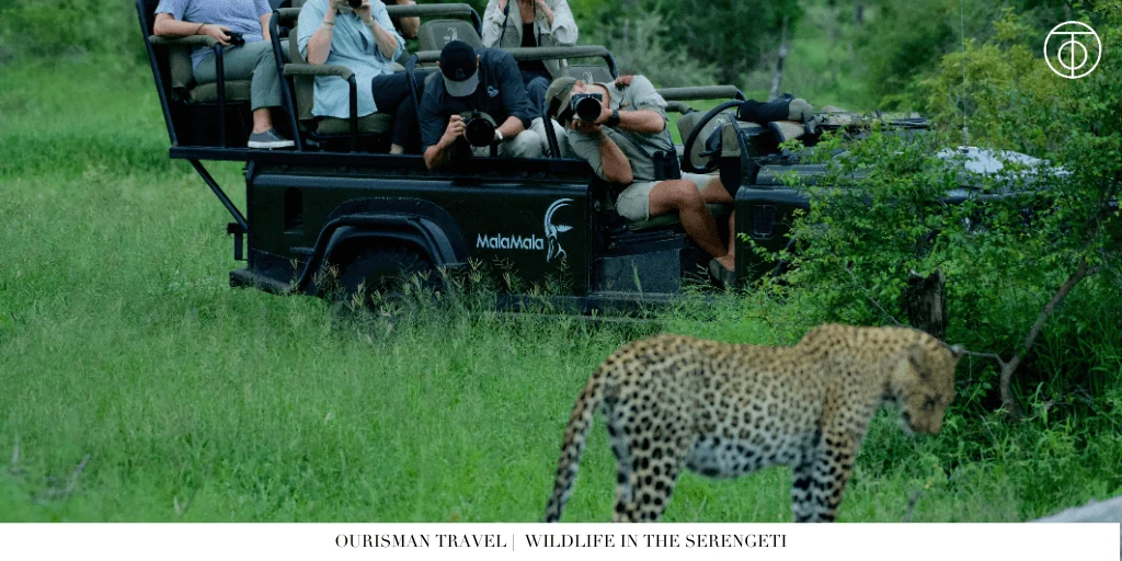 The Great Migration Tanzania cheetah