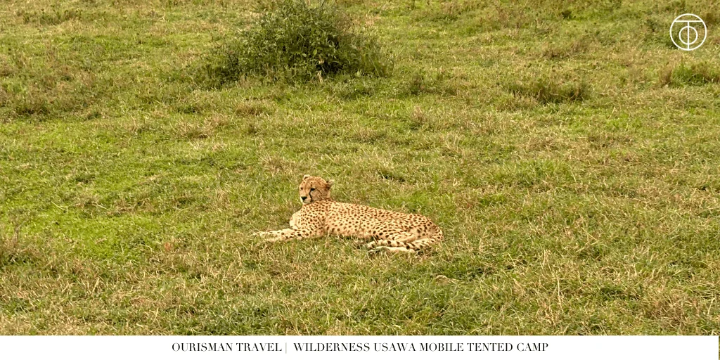 Wilderness Usawa Mobile Tented Camp