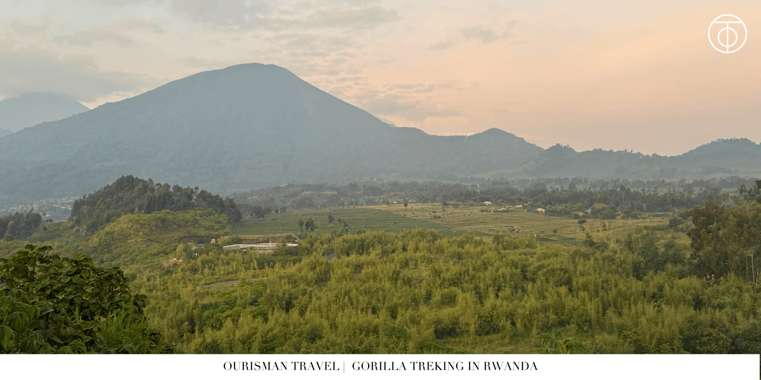 Gorilla Trekking in Rwanda view