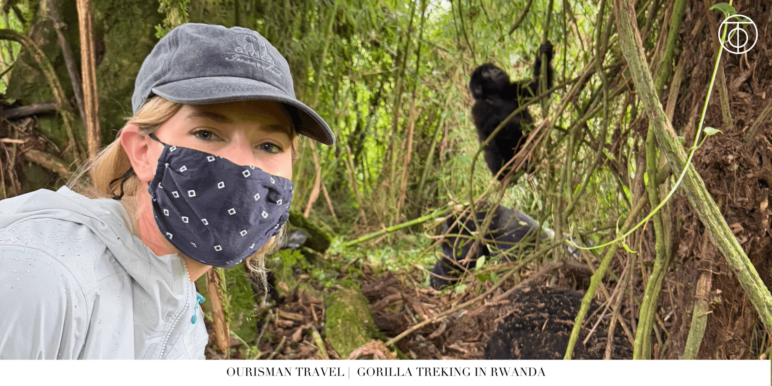 Monkeys Gorilla Trekking in Rwanda