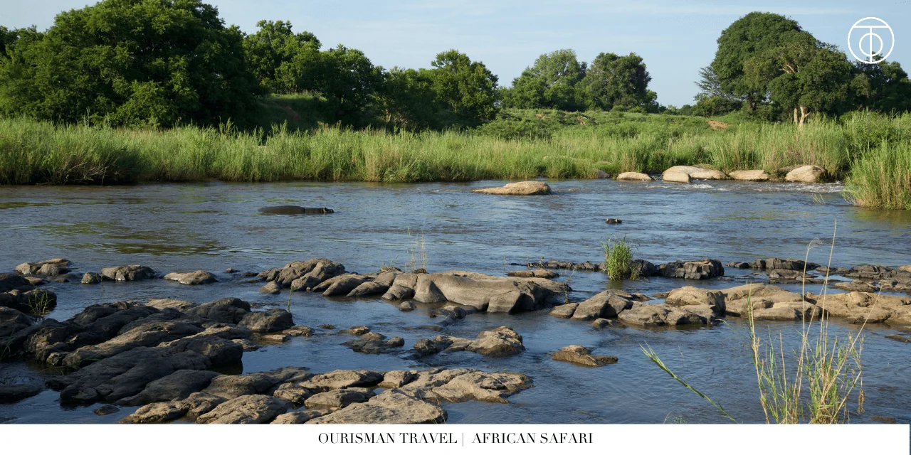 African safari river