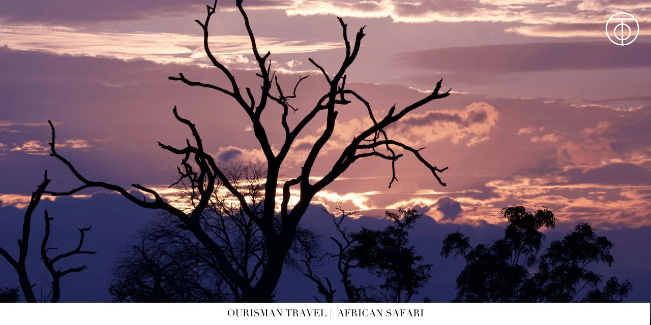 African safari sunset view