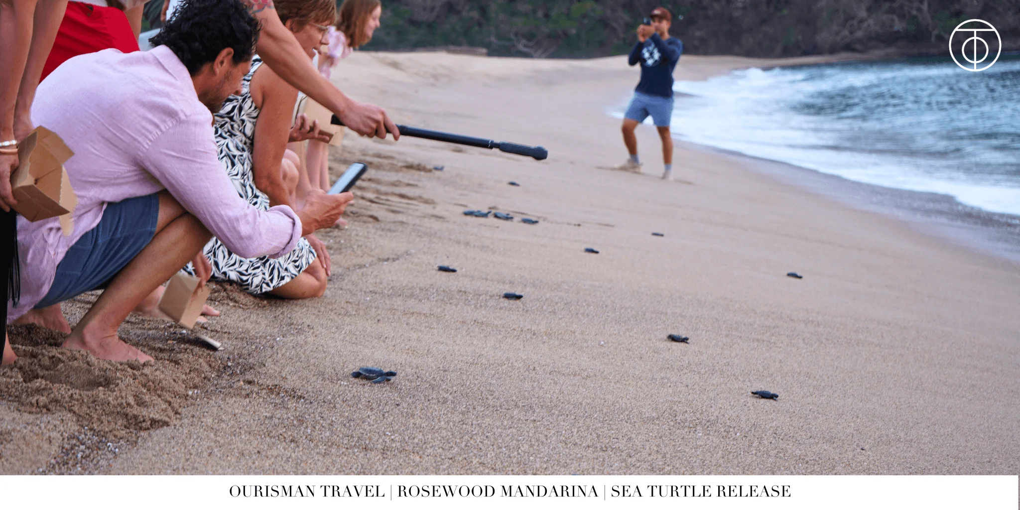 Sea turtle hatching at Rosewood Mandarina