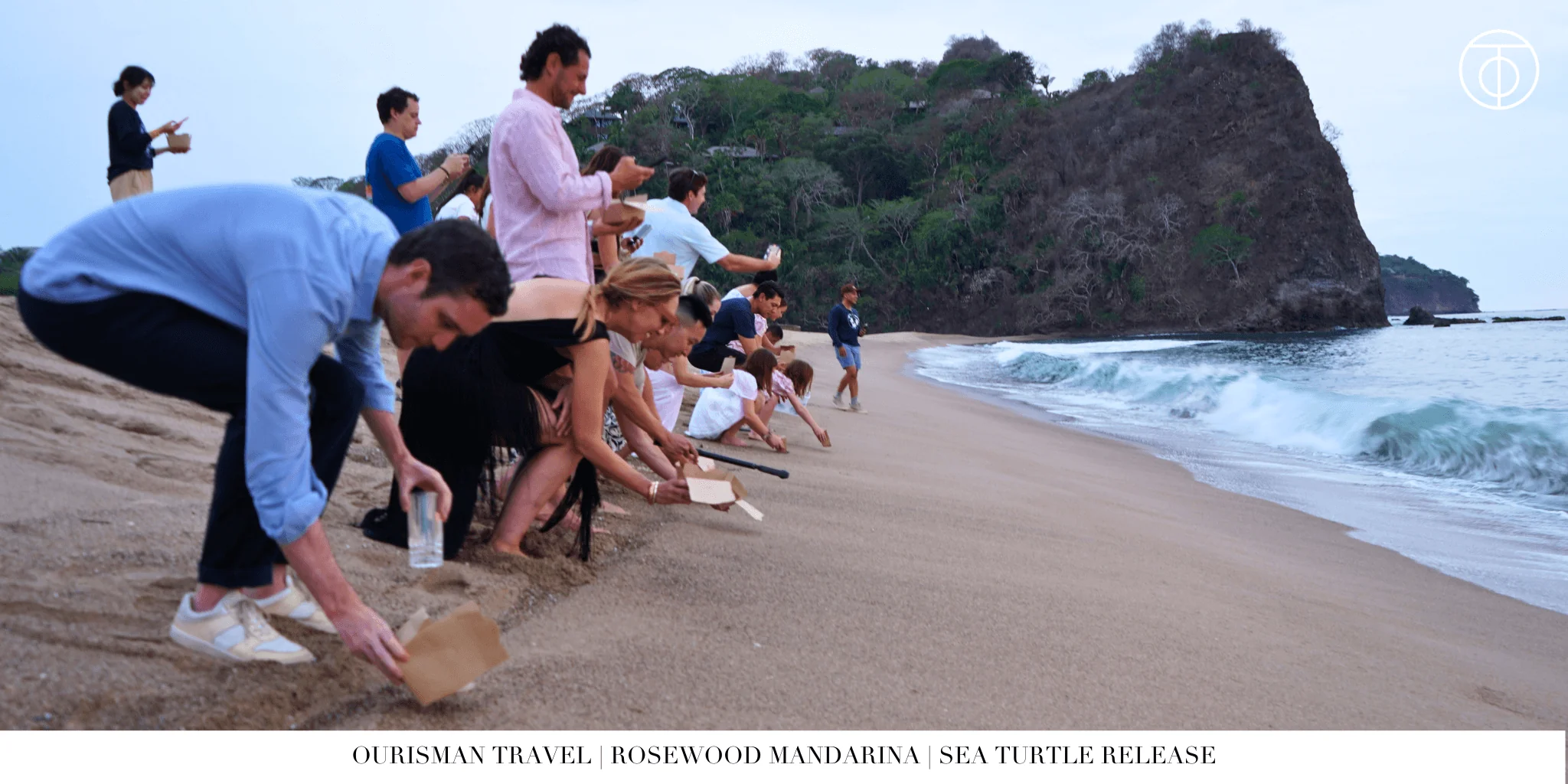 Sea turtle hatching at Rosewood Mandarina