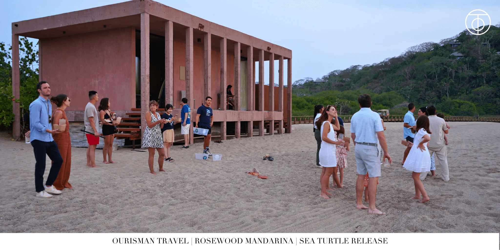 Sea turtle hatching at Rosewood Mandarina