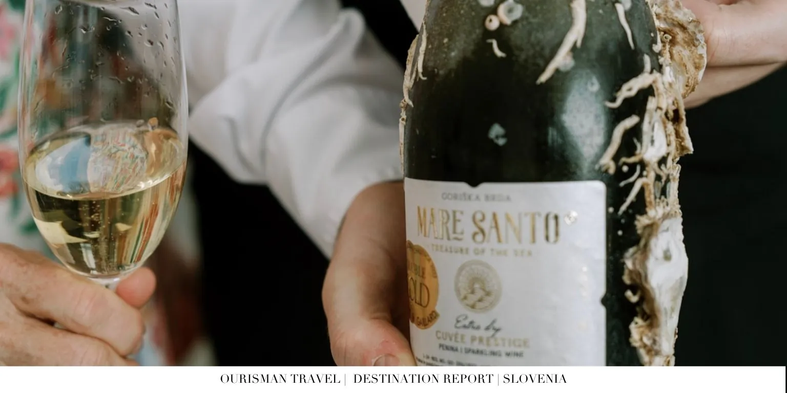 Olive oil and wine tasting at Meneghetti Wine Hotel Istria