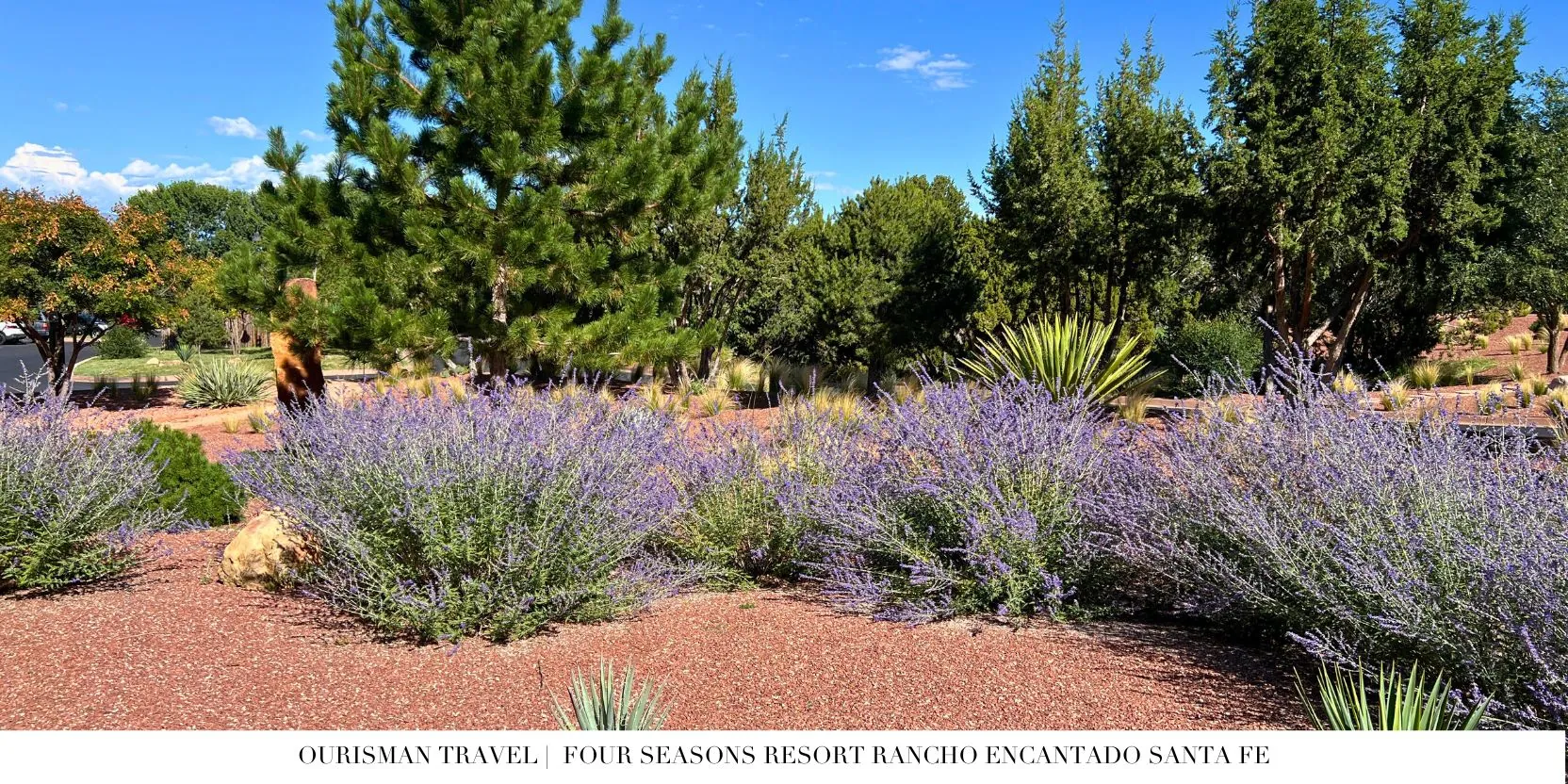 Four Seasons Santa Fe lavender