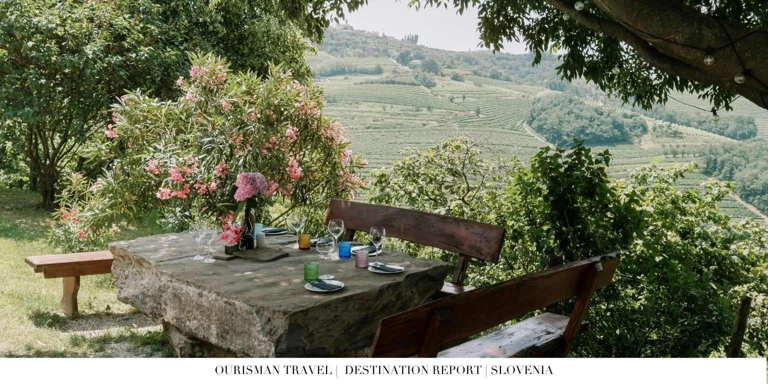 Private wine tasting in Istrian countryside vineyards