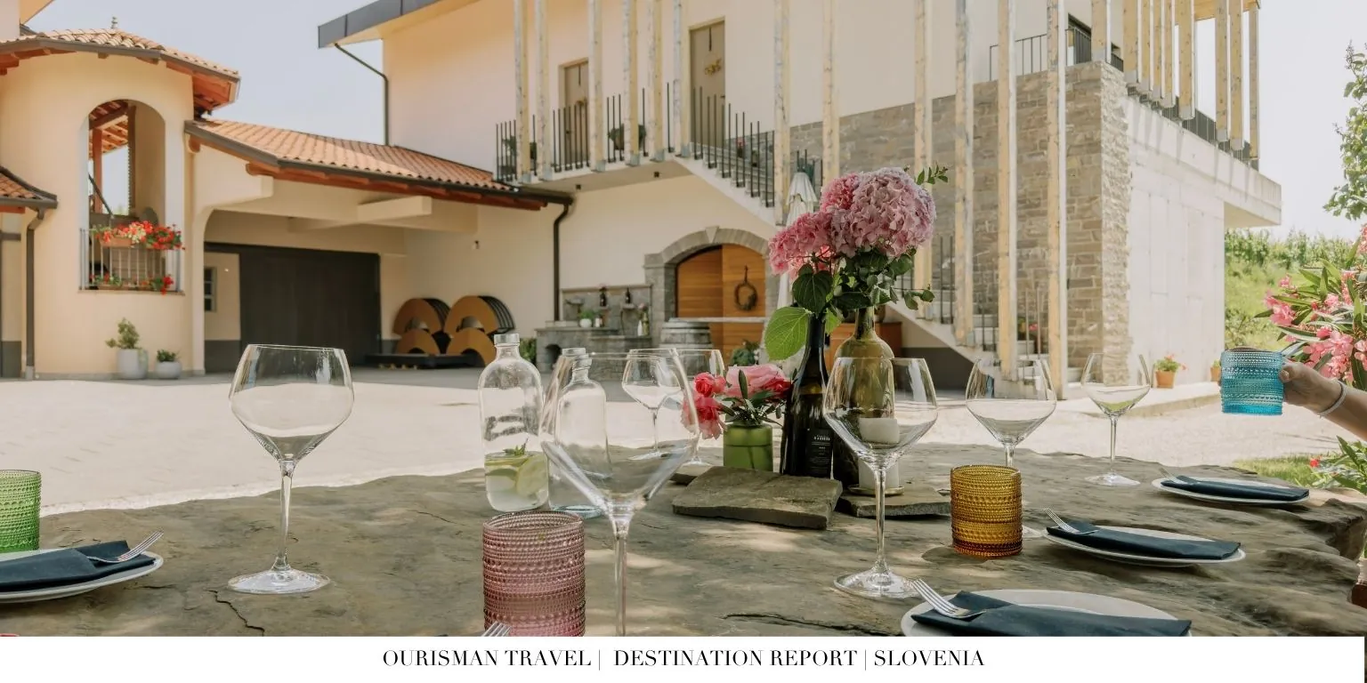 Private wine tasting in Istrian countryside vineyards