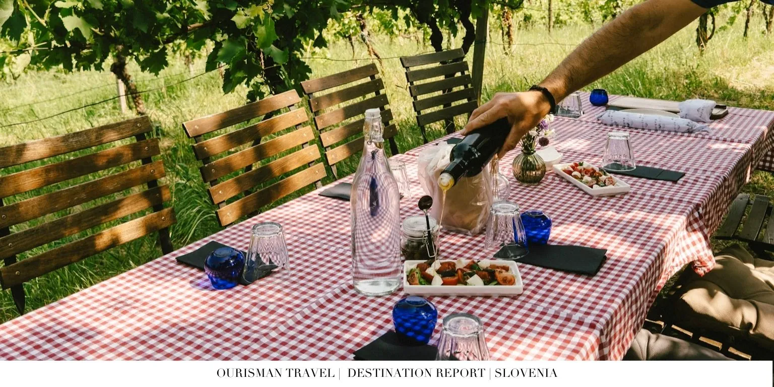 Private wine tasting in Istrian countryside vineyards