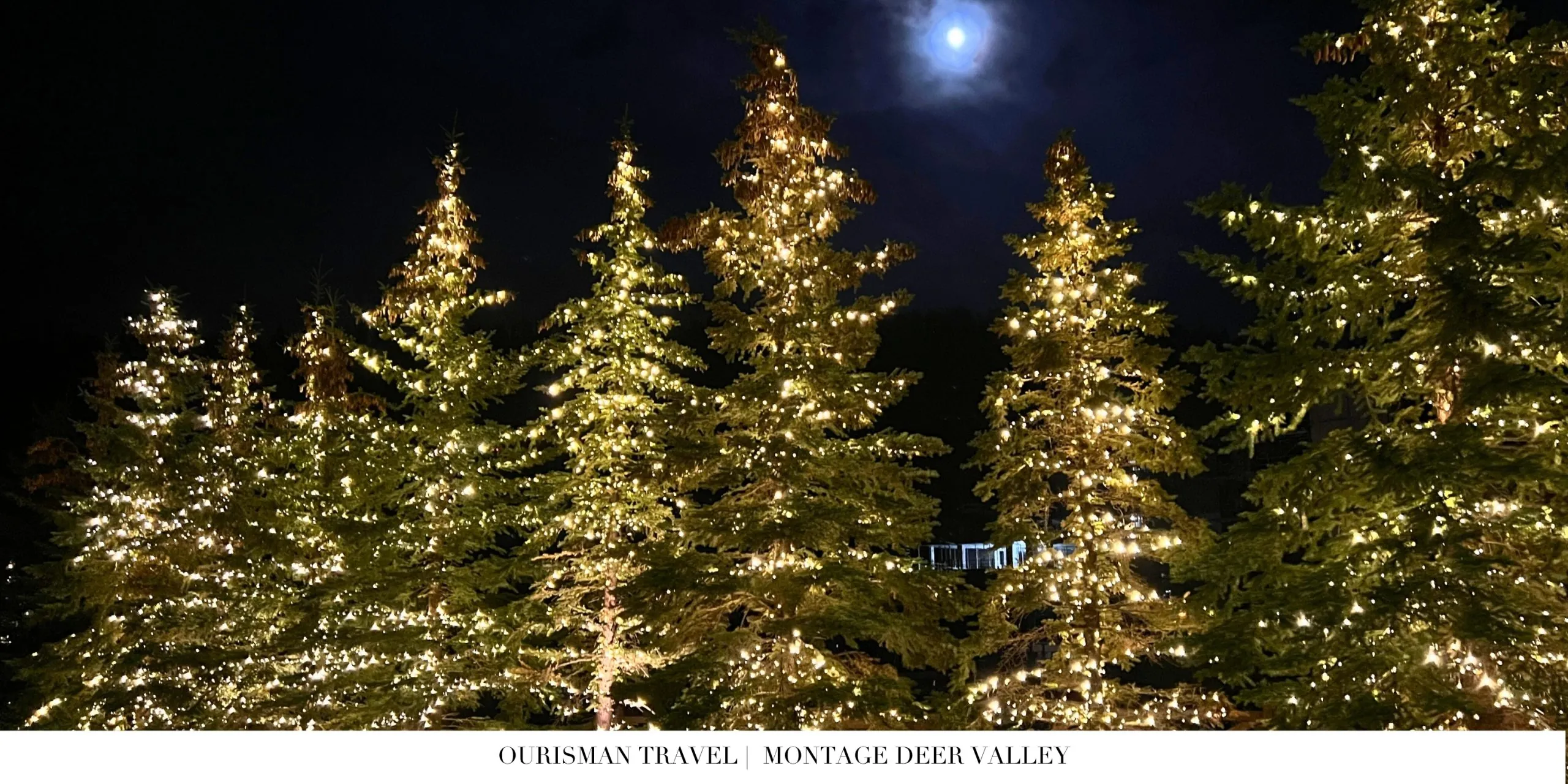 Montage Deer Valley tress