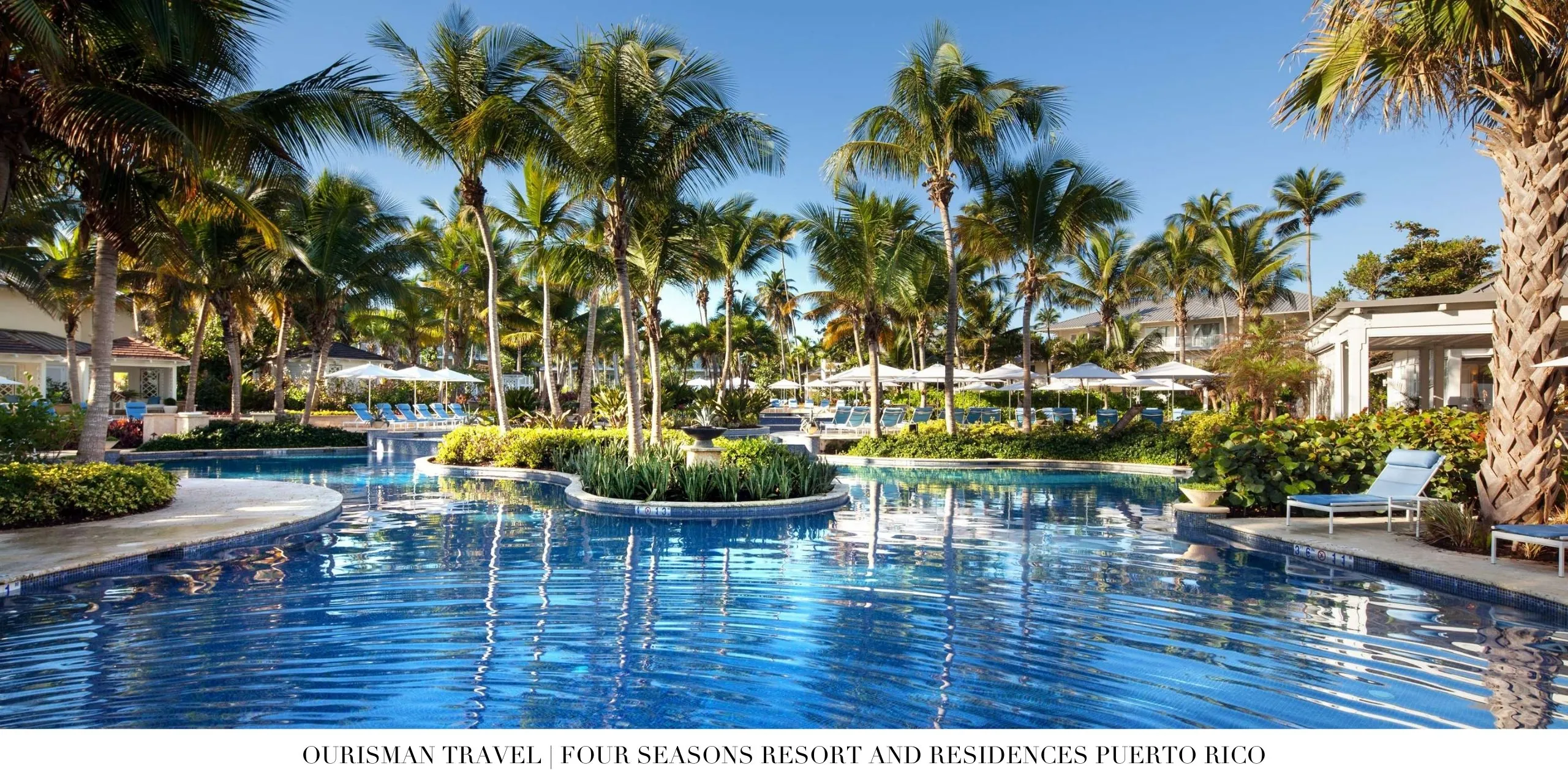 Infinity pool surrounded by palm trees at Four Seasons Puerto Rico