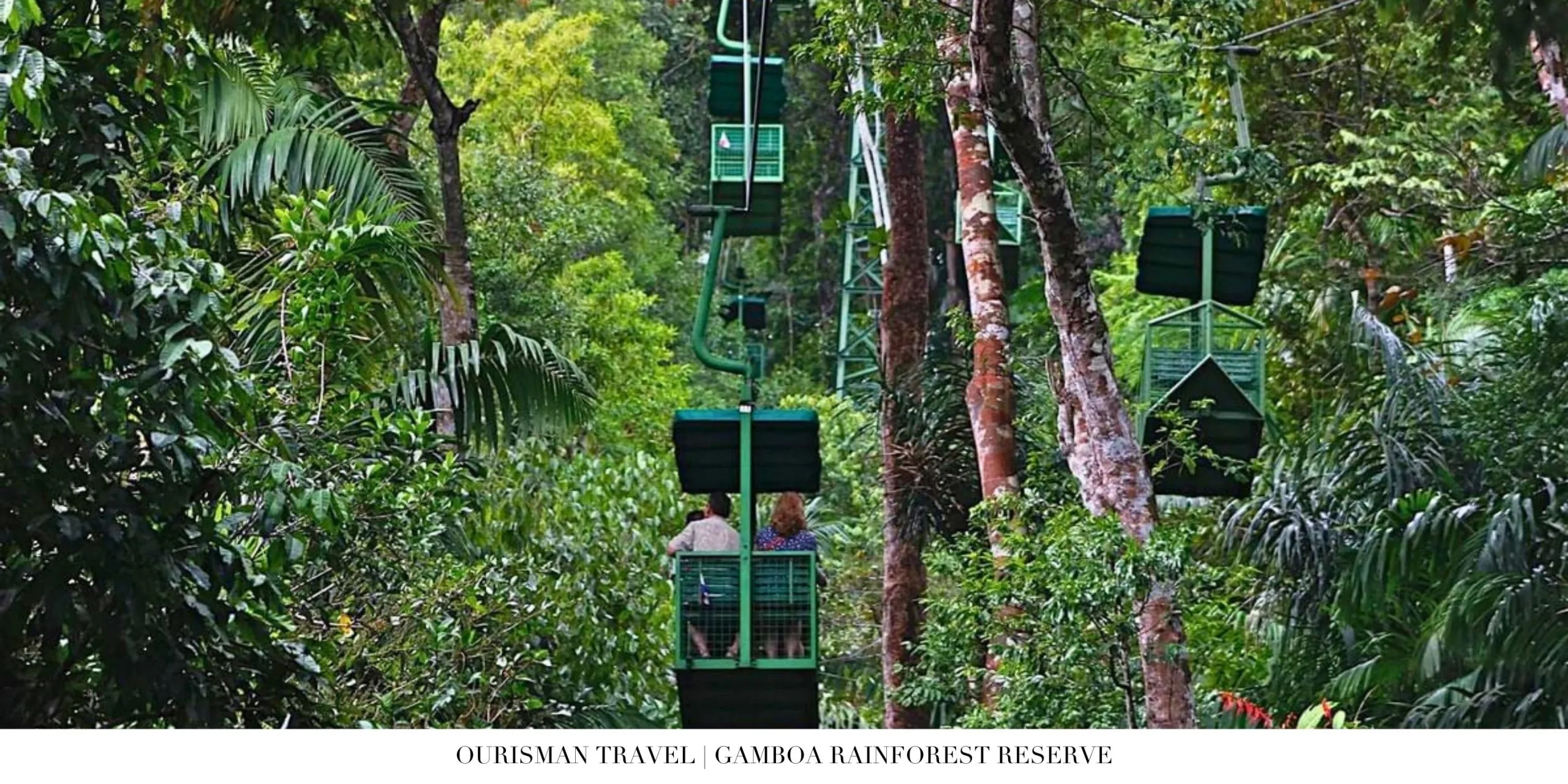 Guests observing wildlife from Gamboa Rainforest Reserve canopy walk