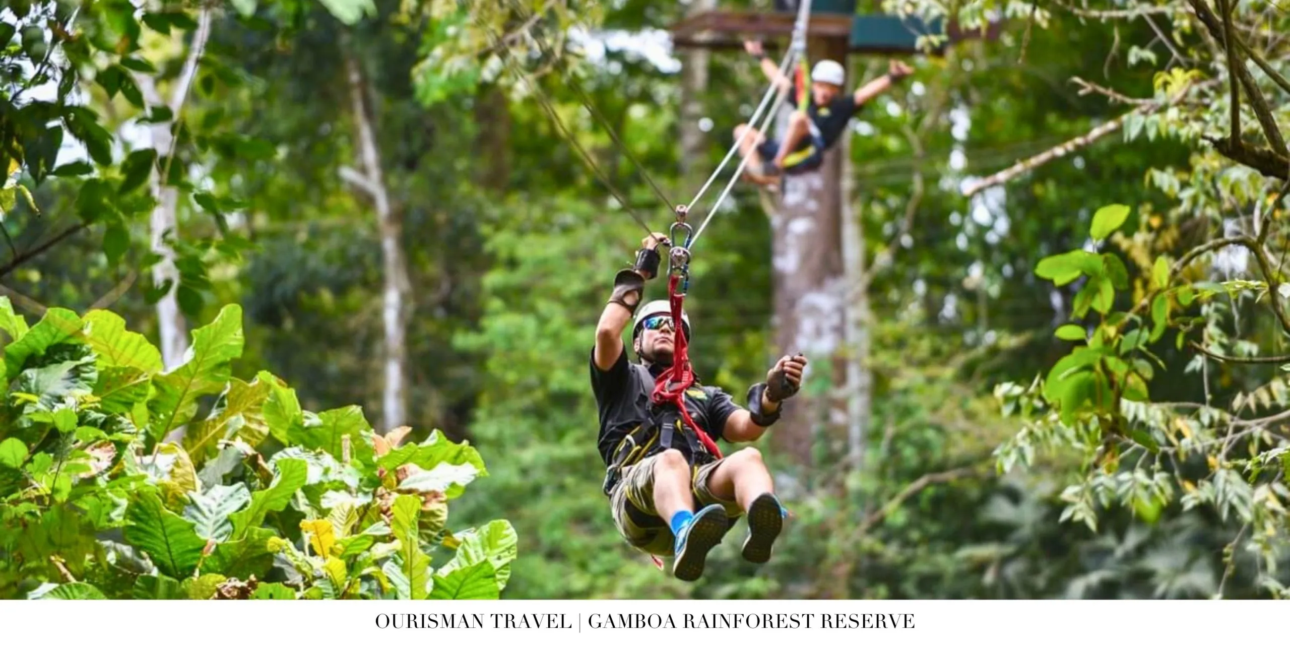 Rainforest wildlife, including monkeys and birds, at Gamboa Rainforest Reserve