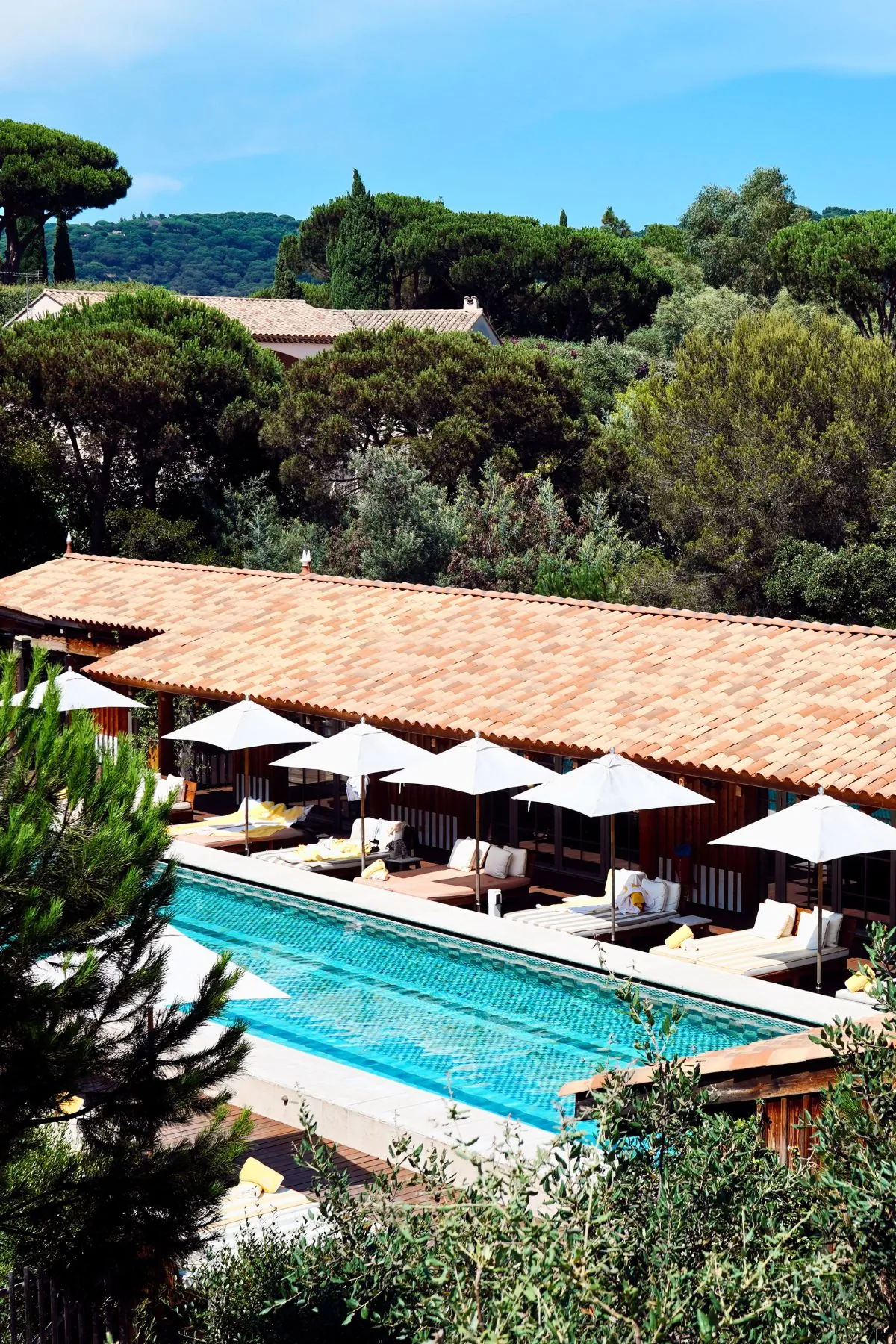 Lily of the Valley Review: What to Know Before You Book