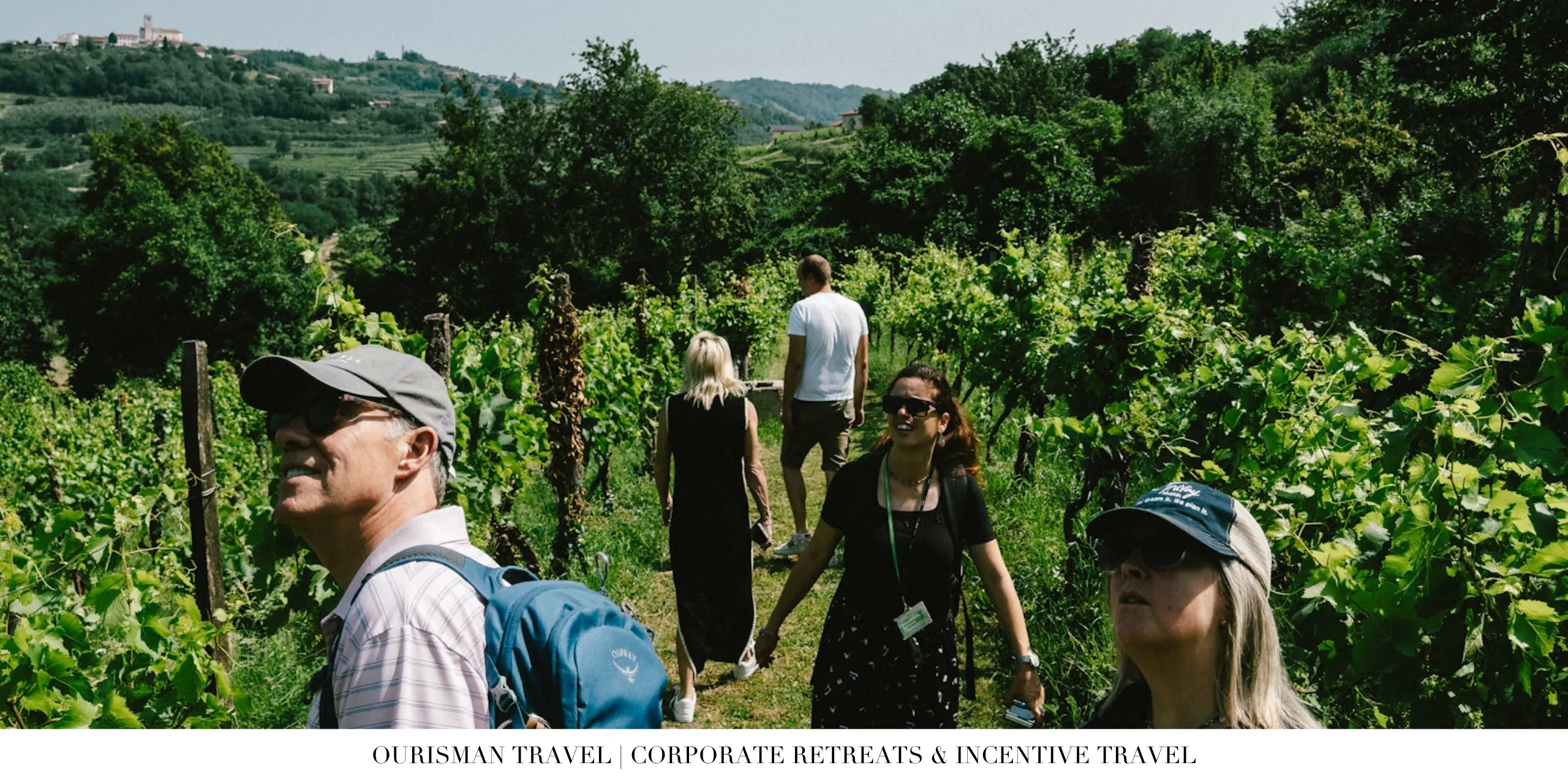 Guests exploring vineyards during a guided wine country excursion