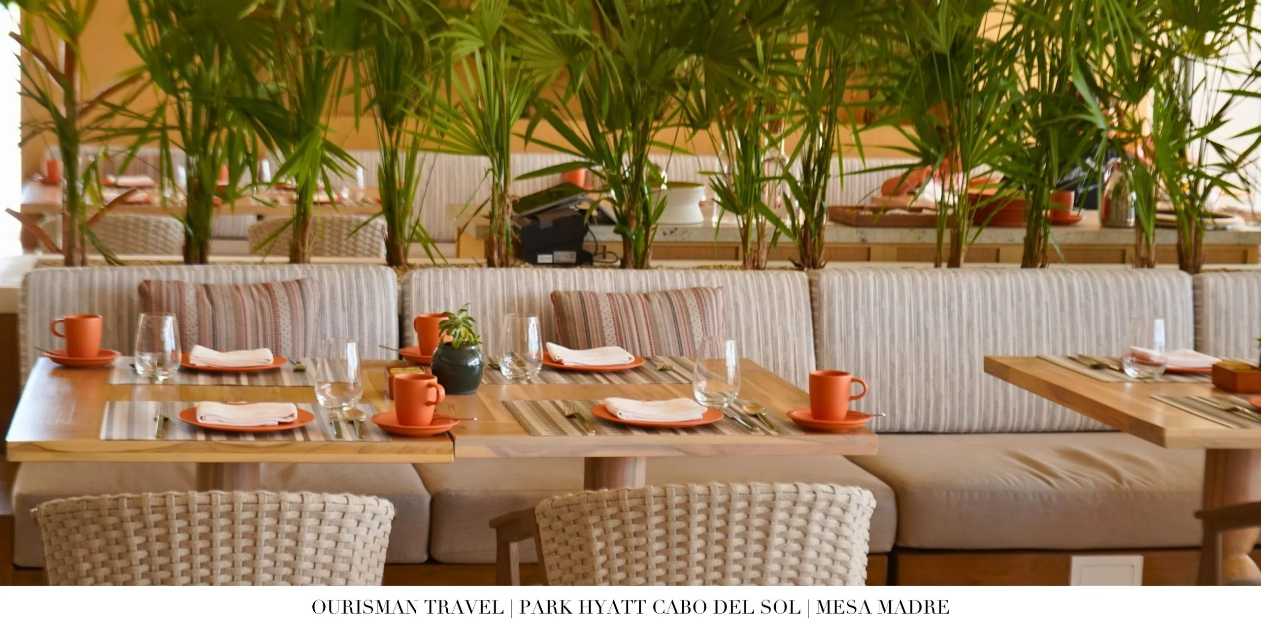Contemporary restaurant interior at Mesa Madre.