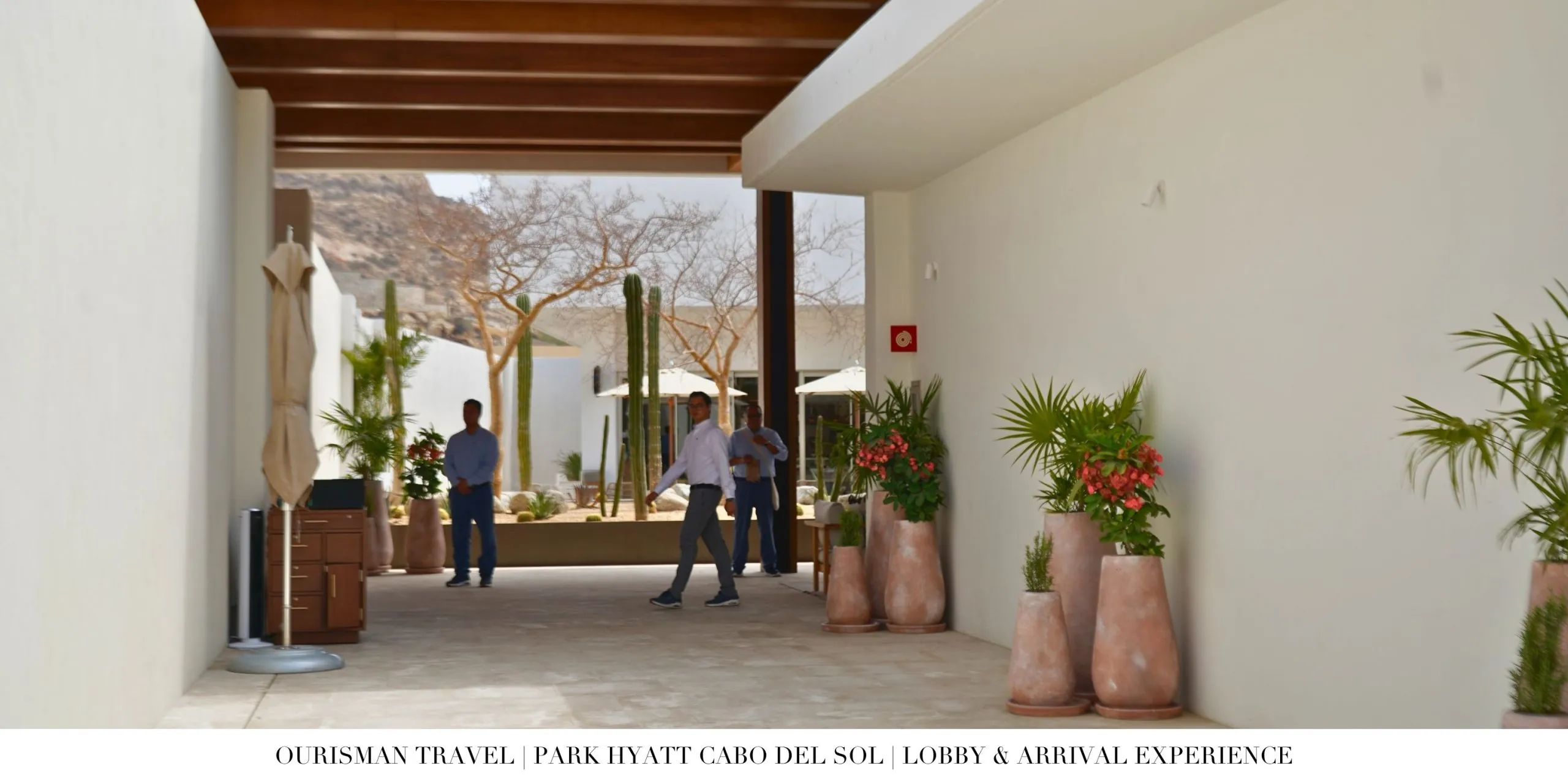 Open-air arrival pavilion at Park Hyatt Cabo del Sol.
