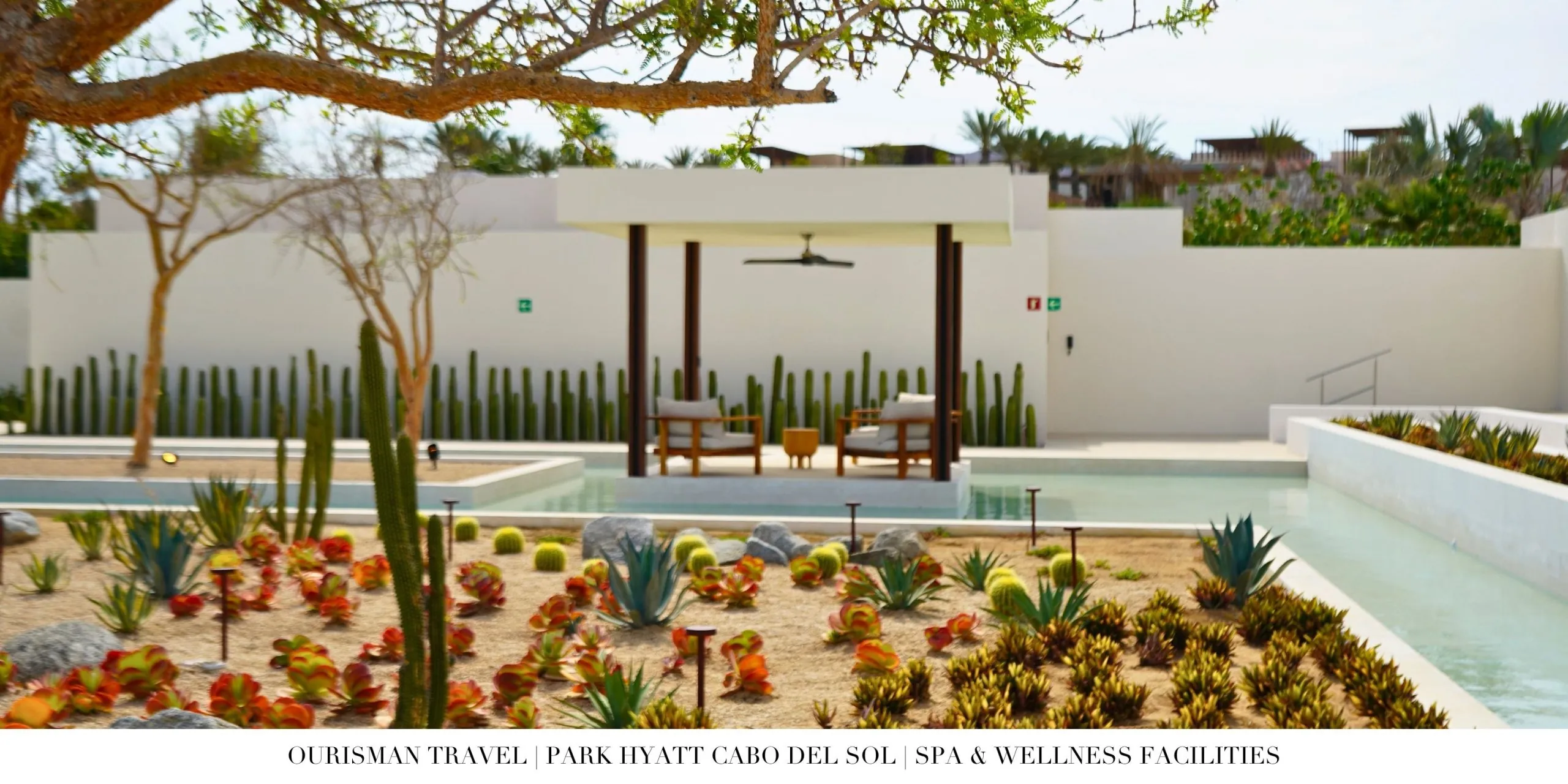 Wellness experience at the spa at Park Hyatt Cabo del Sol.