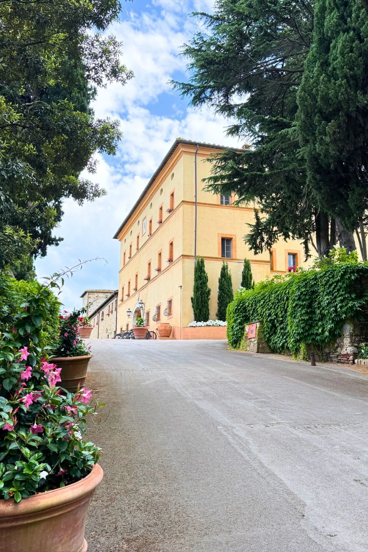 Driveway leading to Castello di Casole, a Belmond Hotel, lined with cypress trees and gardens in Tuscany, Italy.